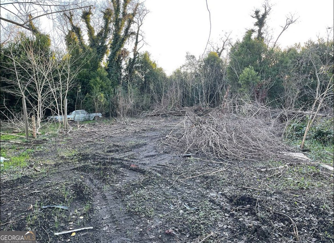 1042 Brayton Street Augusta - 4