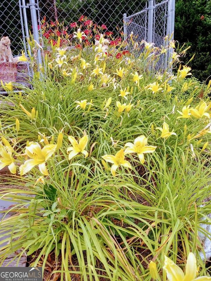 2791 Bonds Lake Road Conyers - 14