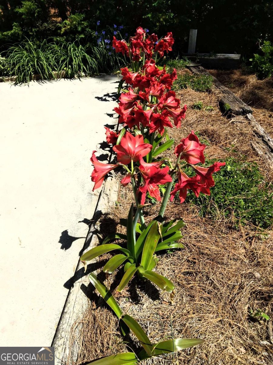 2791 Bonds Lake Road Conyers - 16