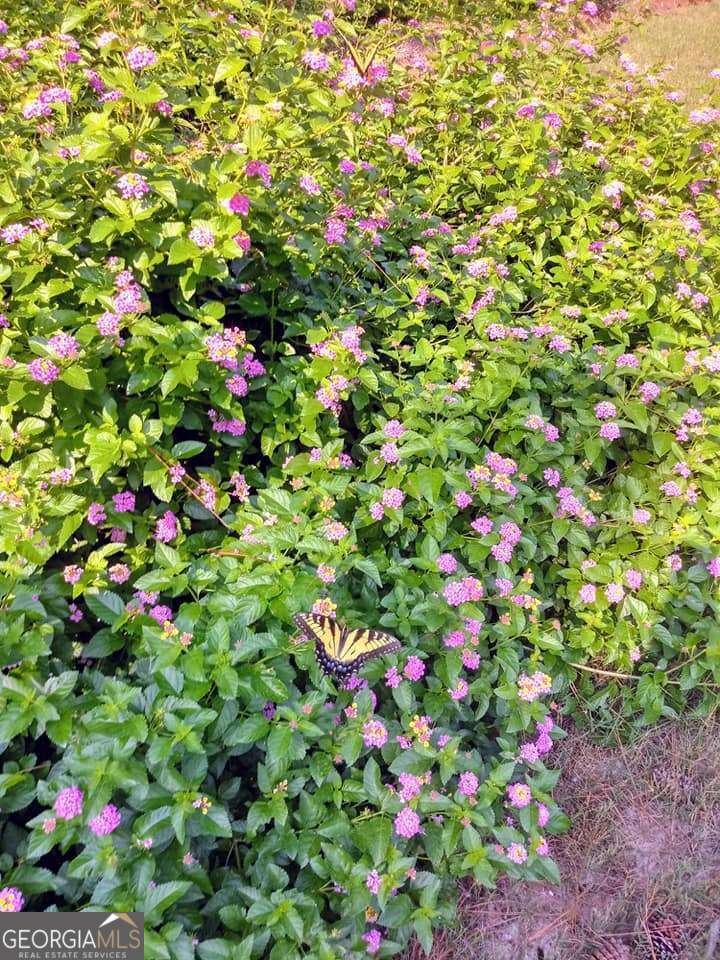 2791 Bonds Lake Road Conyers - 18