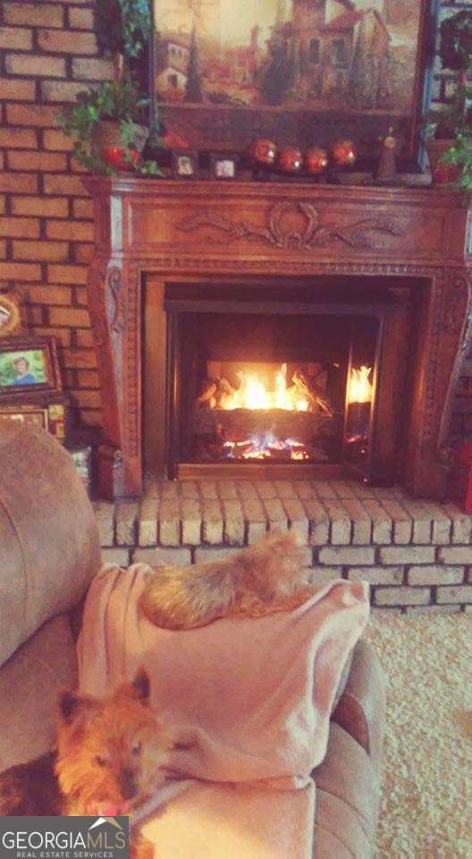 2791 Bonds Lake Road Conyers - 24