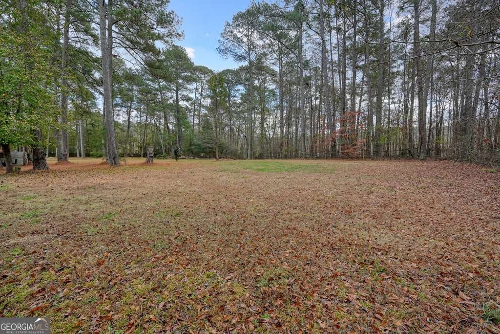 297 Cowan Road Conyers - 19