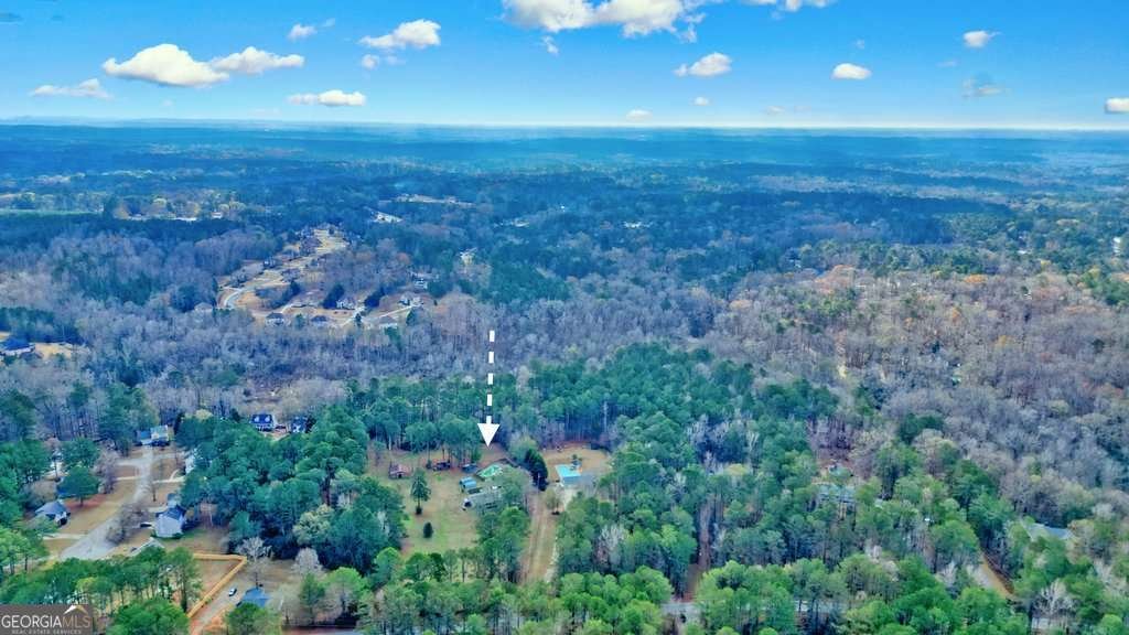 297 Cowan Road Conyers - 43