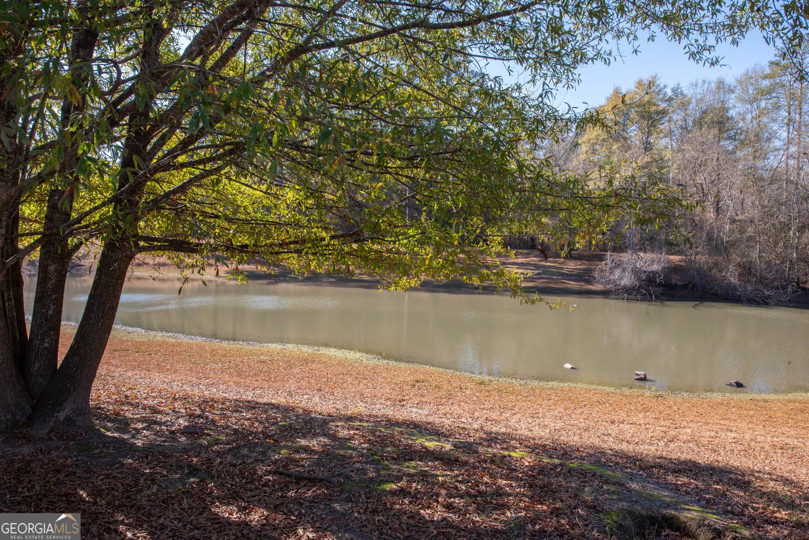 215 Highland Park Drive Bonaire - 72