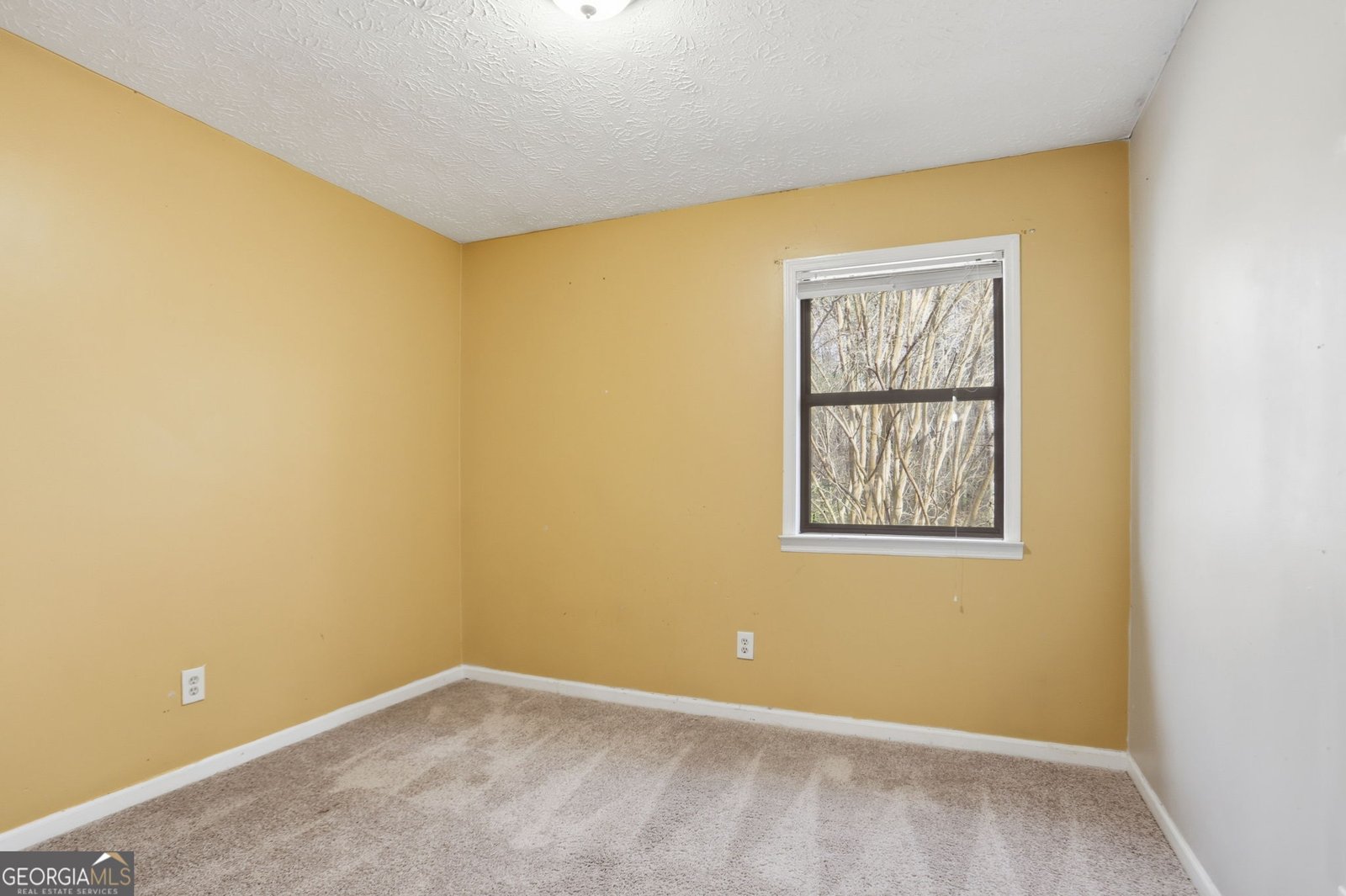 120 Windsong Court Stockbridge - 18