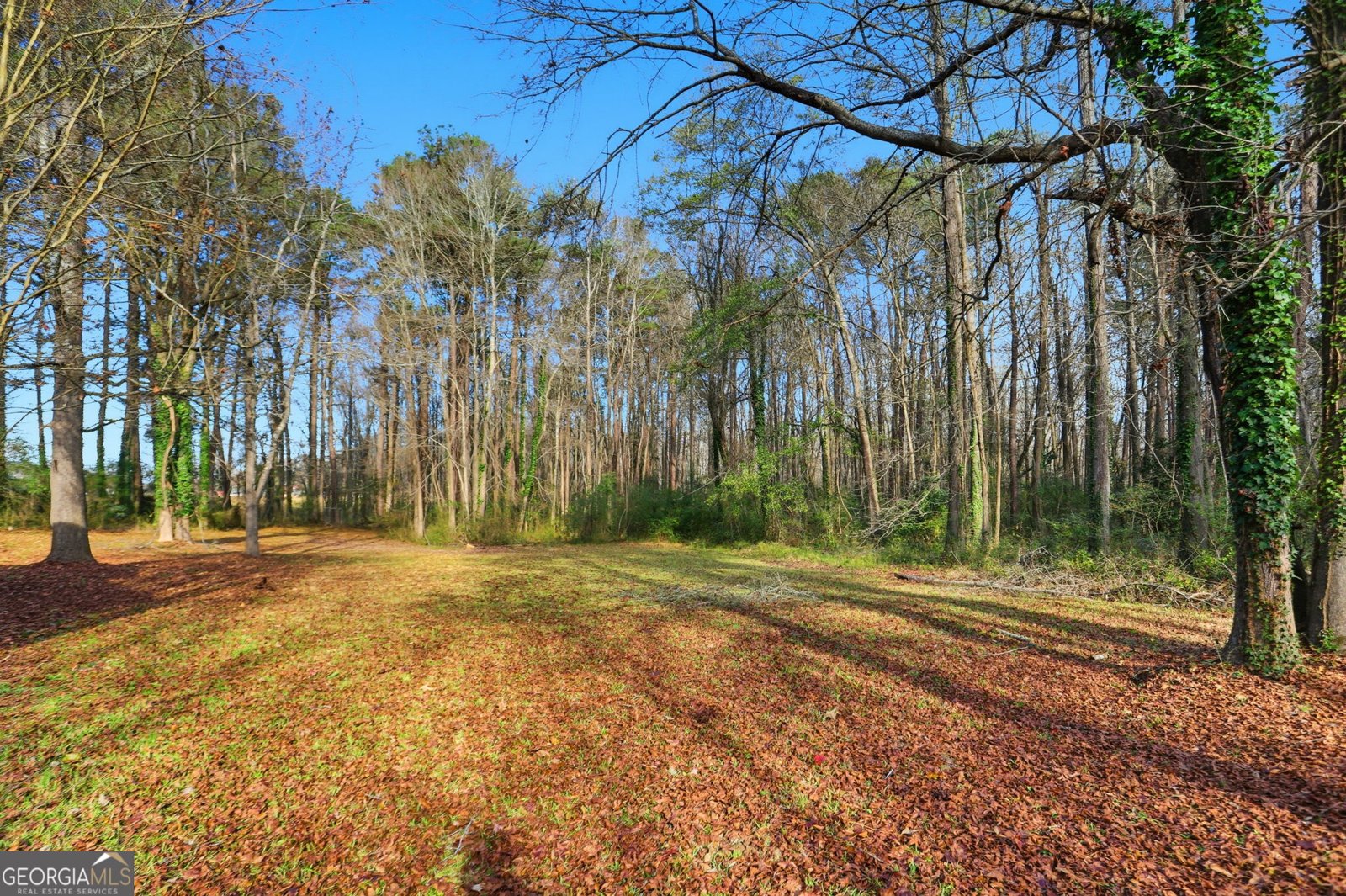 120 Windsong Court Stockbridge - 37