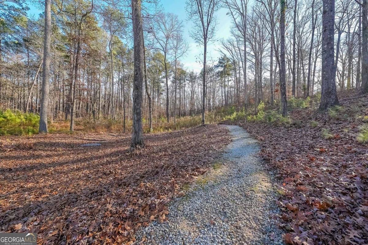 2425 Wild Oak Court Stockbridge - 39