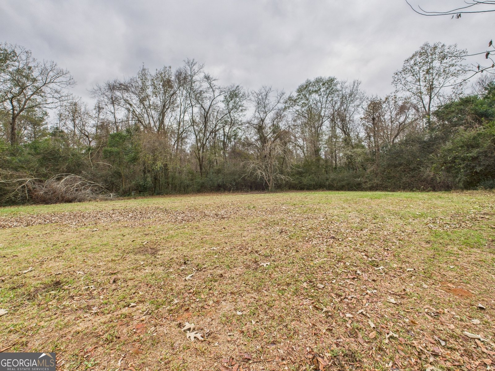 312 Henson Road Hawkinsville - 55