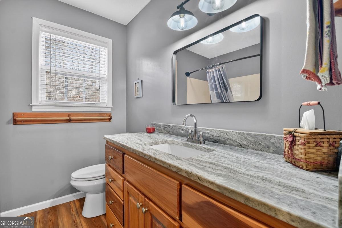 520 Copperhead Road Blairsville - 19