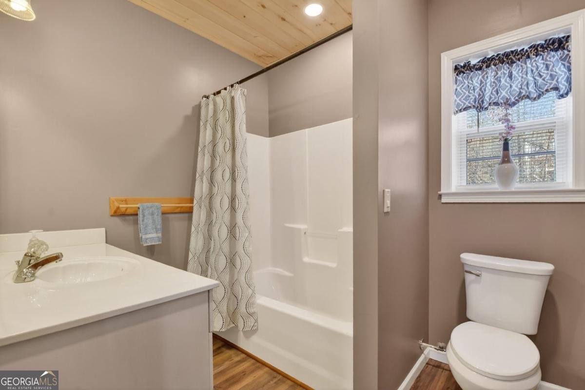 520 Copperhead Road Blairsville - 33