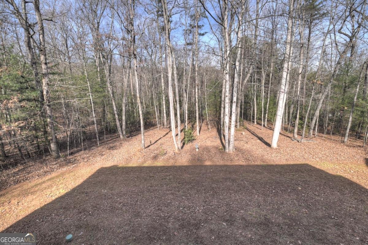 520 Copperhead Road Blairsville - 36