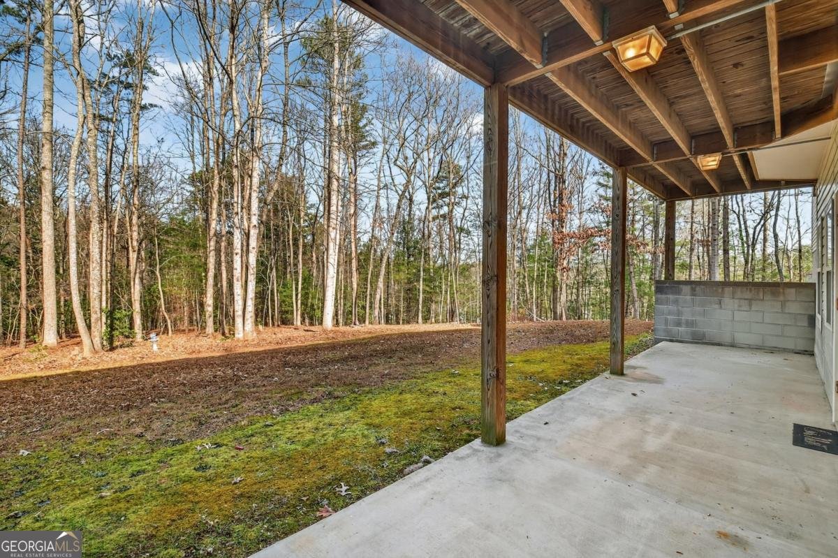 520 Copperhead Road Blairsville - 42