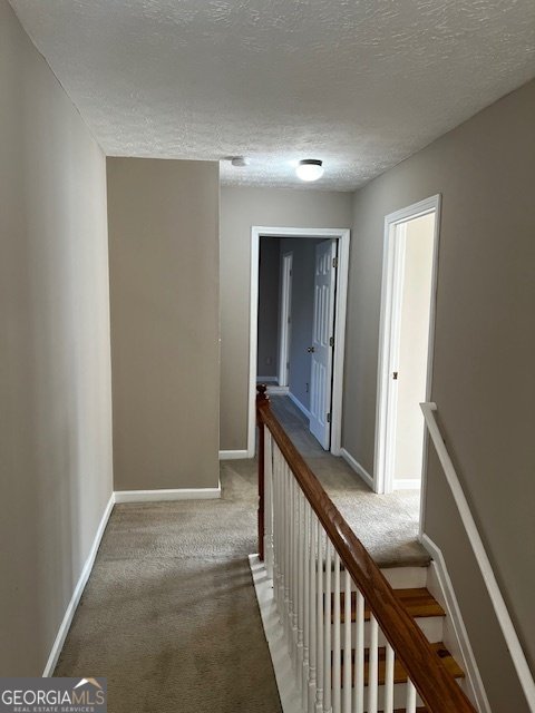 3721 Bogan Mill Road Buford - 19