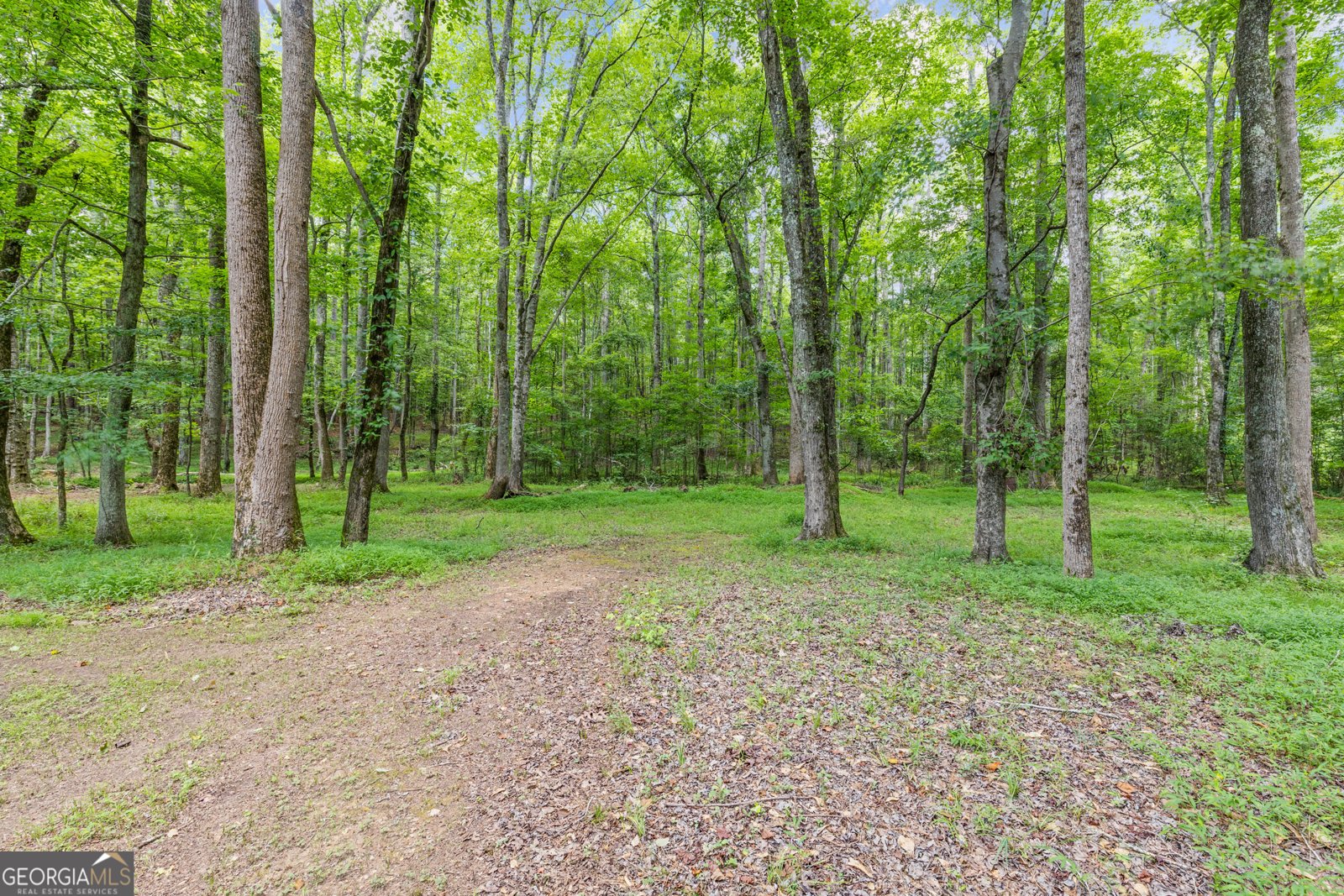 135 Ashley Creek Drive Newnan - 27