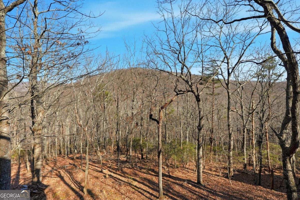 408 Alpine Drive Jasper - 24