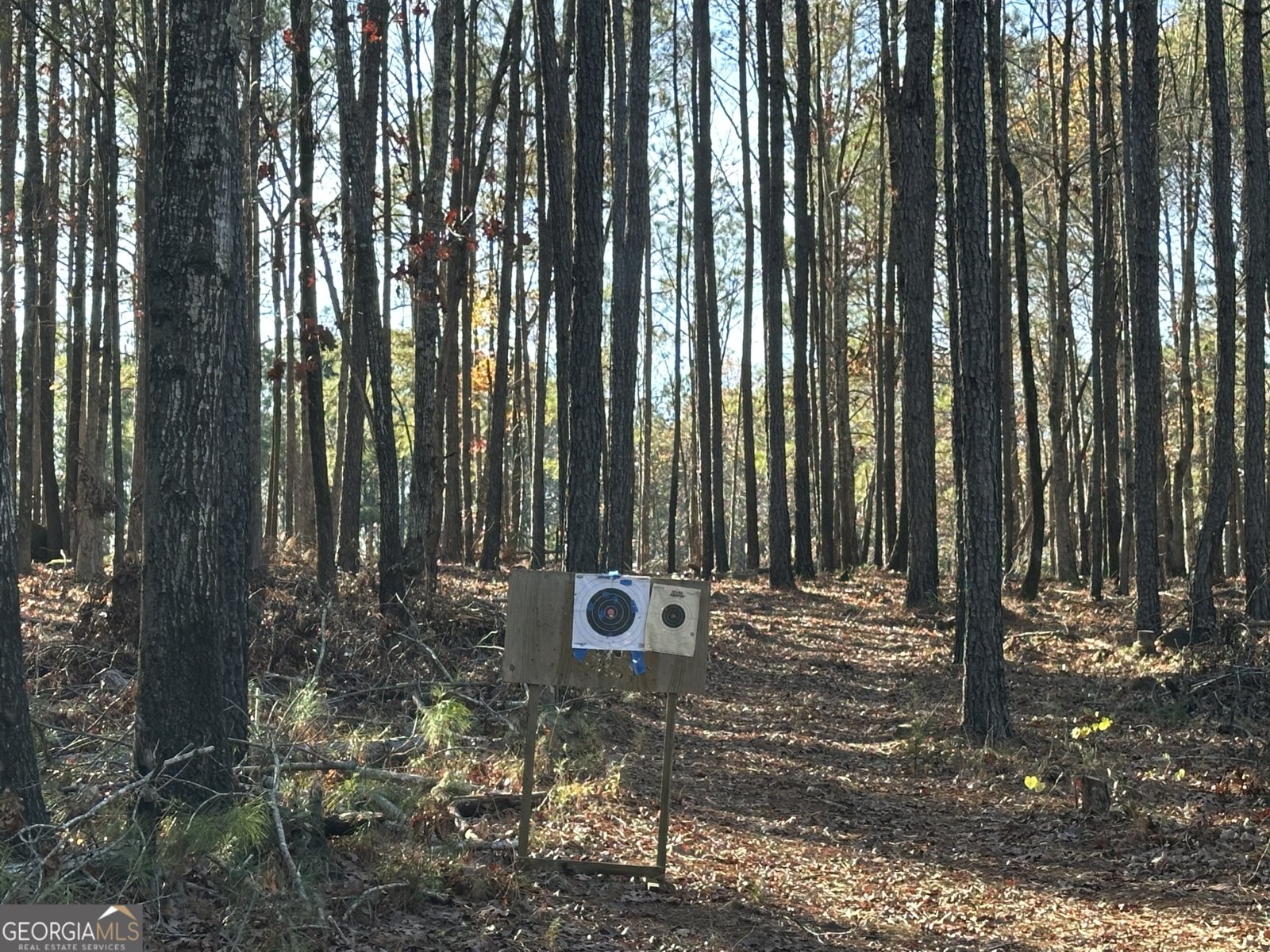 202 Taylor Road Talbotton - 12