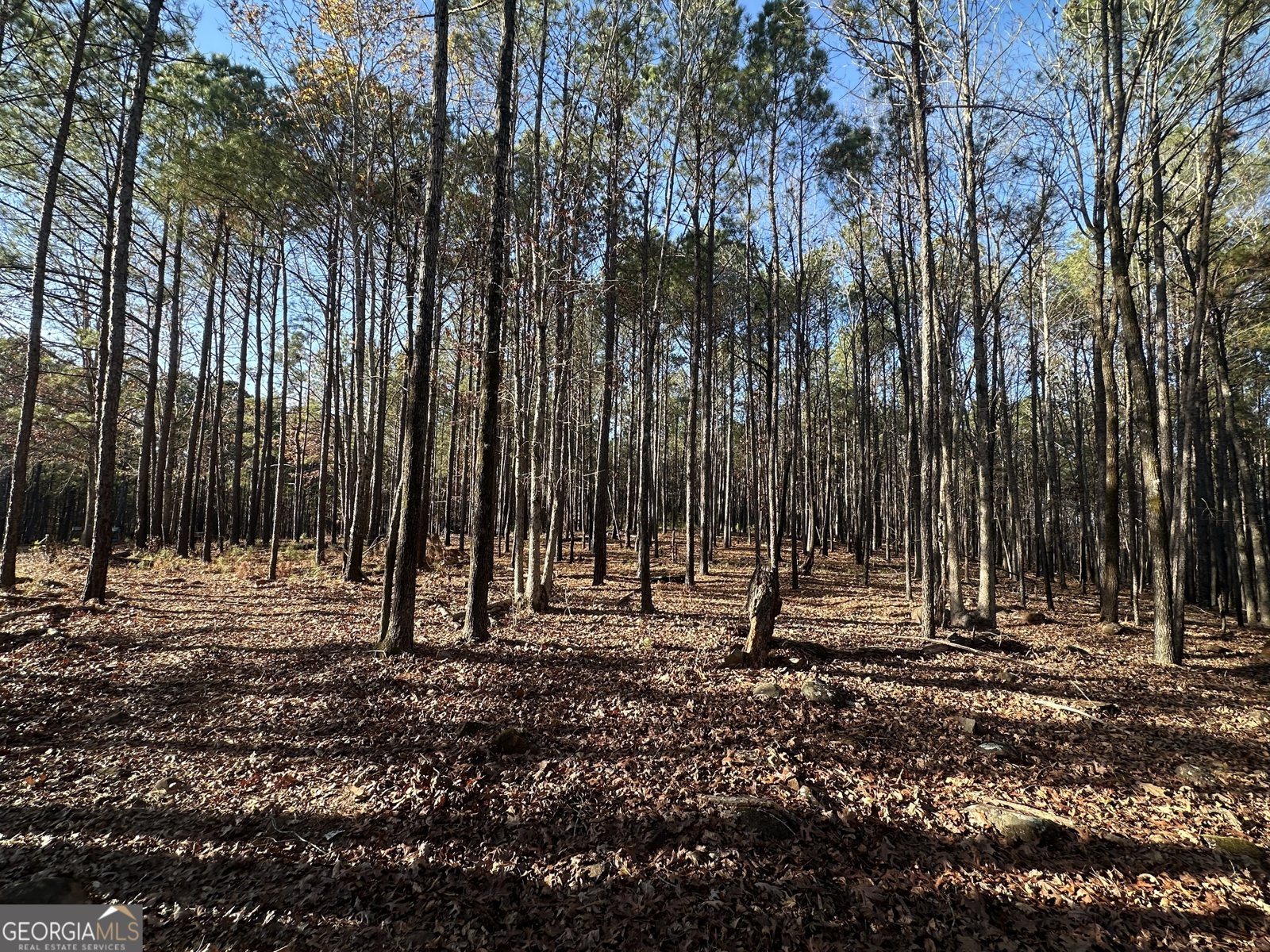 202 Taylor Road Talbotton - 13