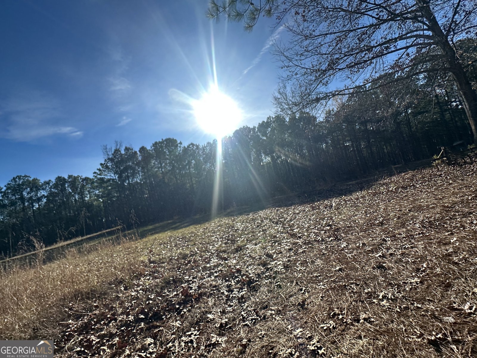 202 Taylor Road Talbotton - 14