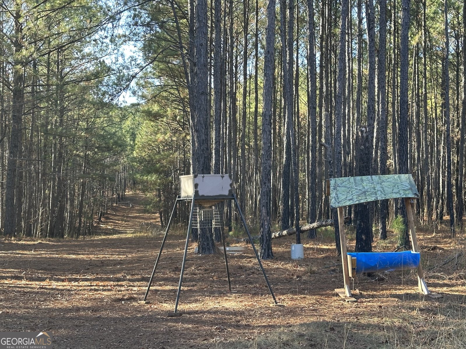 202 Taylor Road Talbotton - 15