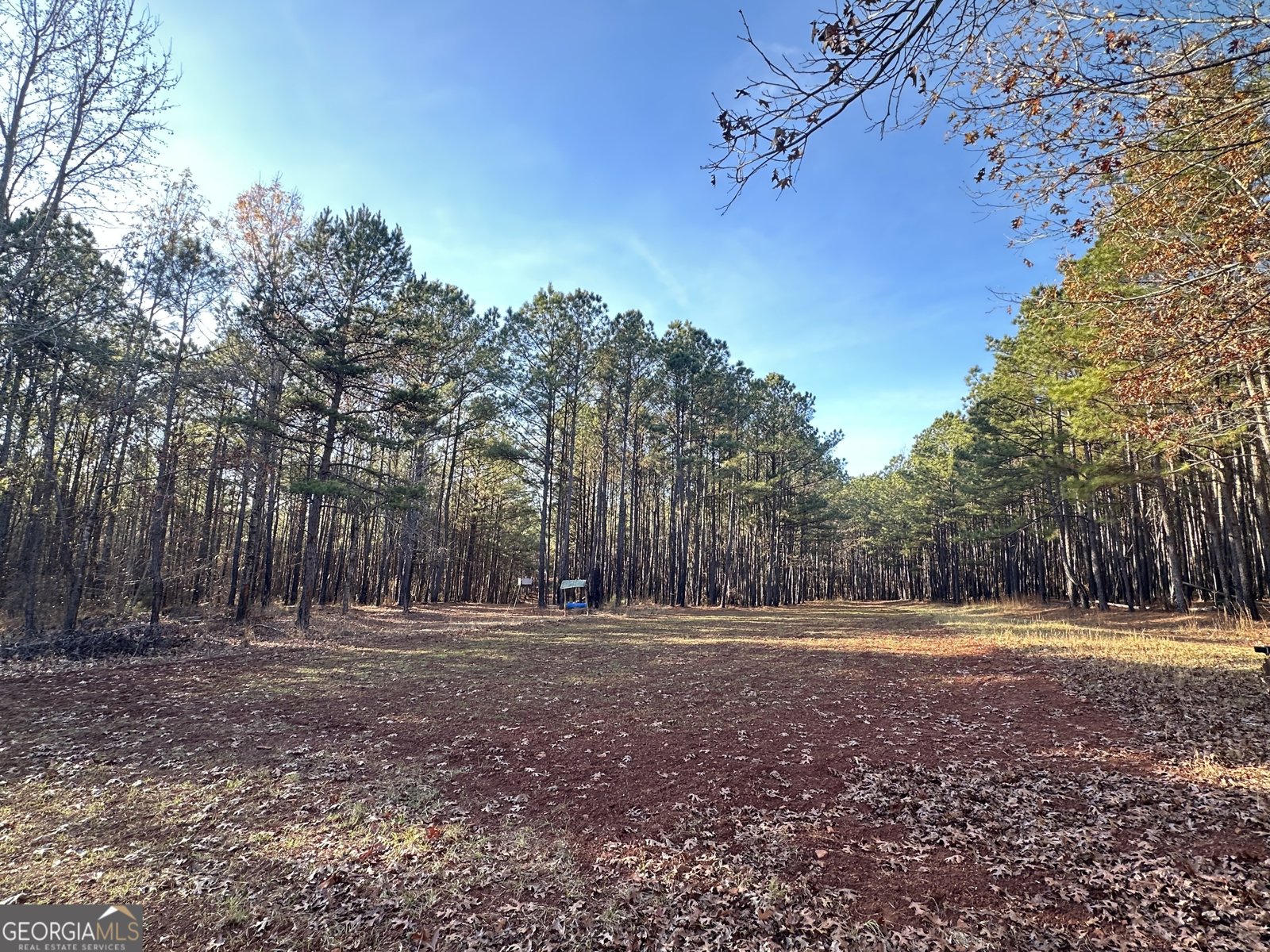 202 Taylor Road Talbotton - 16