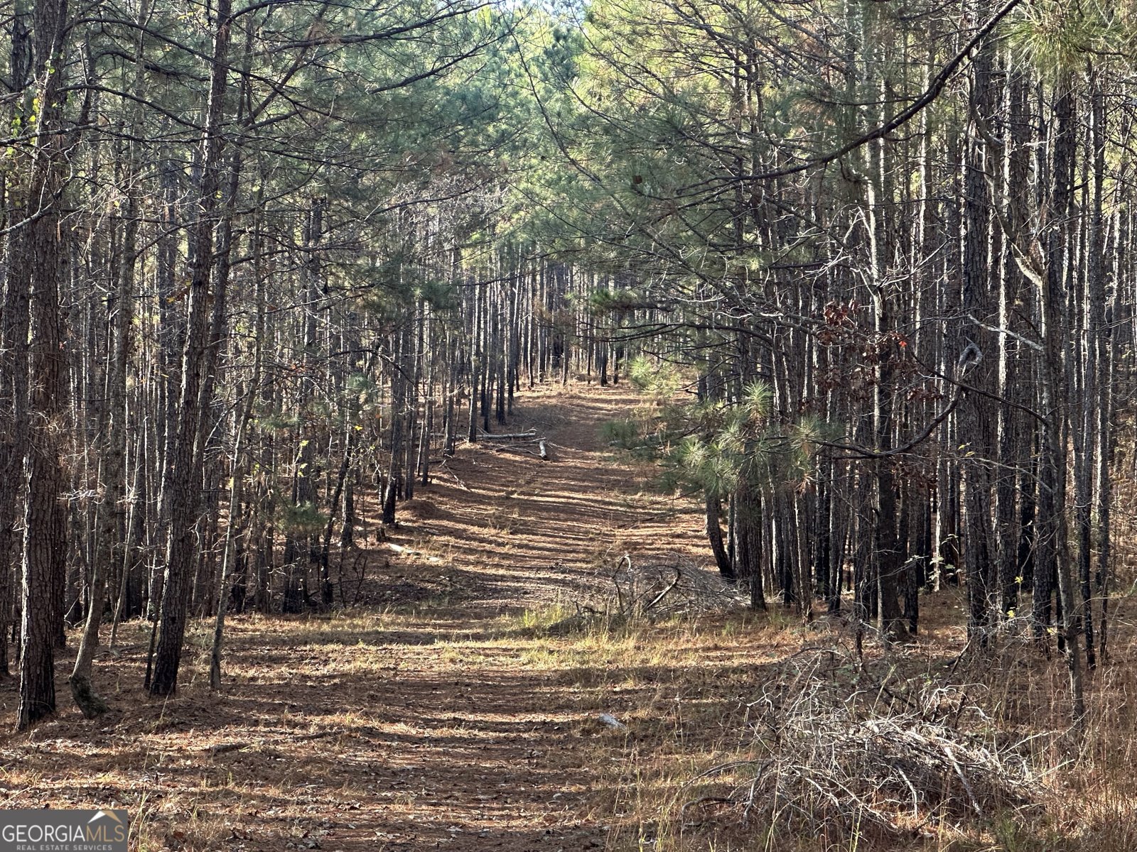 202 Taylor Road Talbotton - 18