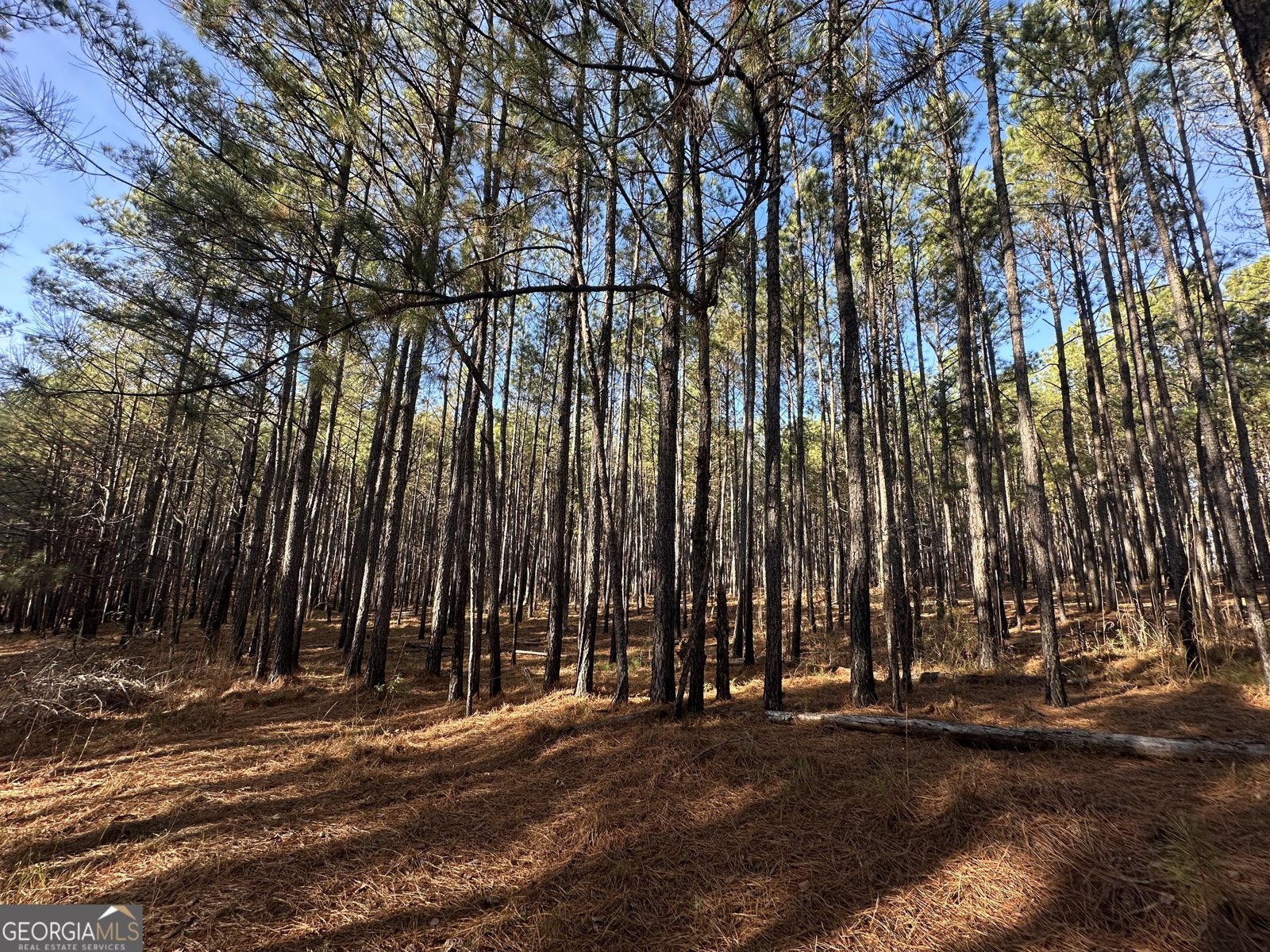 202 Taylor Road Talbotton - 19