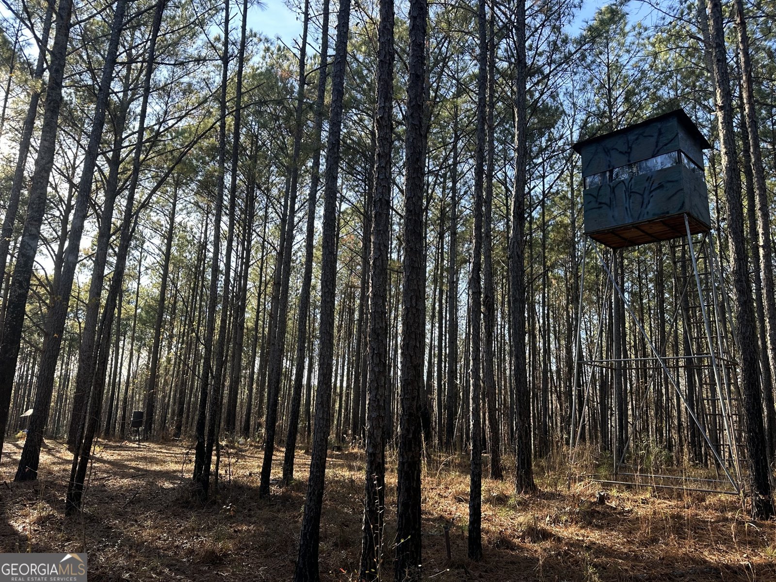 202 Taylor Road Talbotton - 20