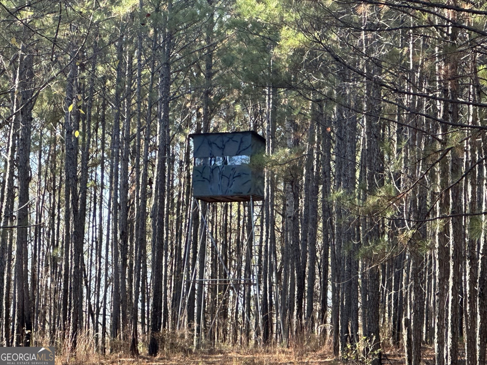 202 Taylor Road Talbotton - 21