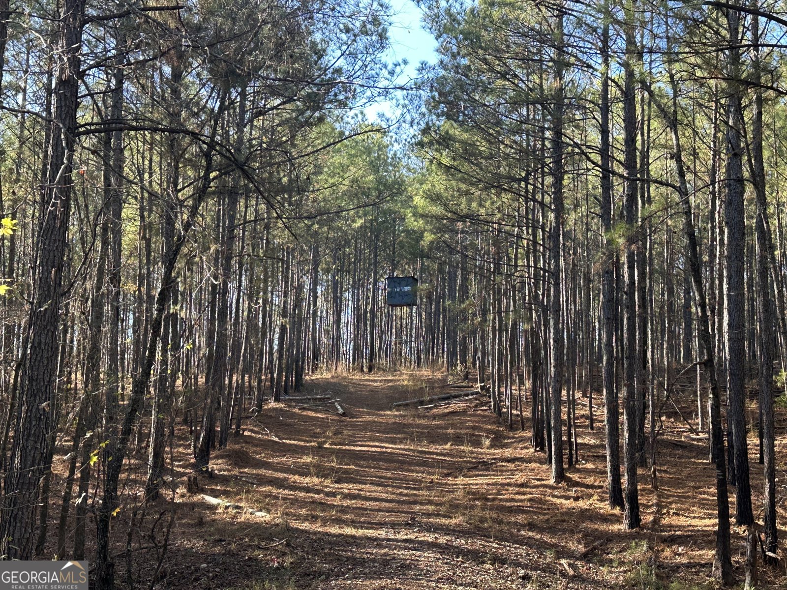 202 Taylor Road Talbotton - 22