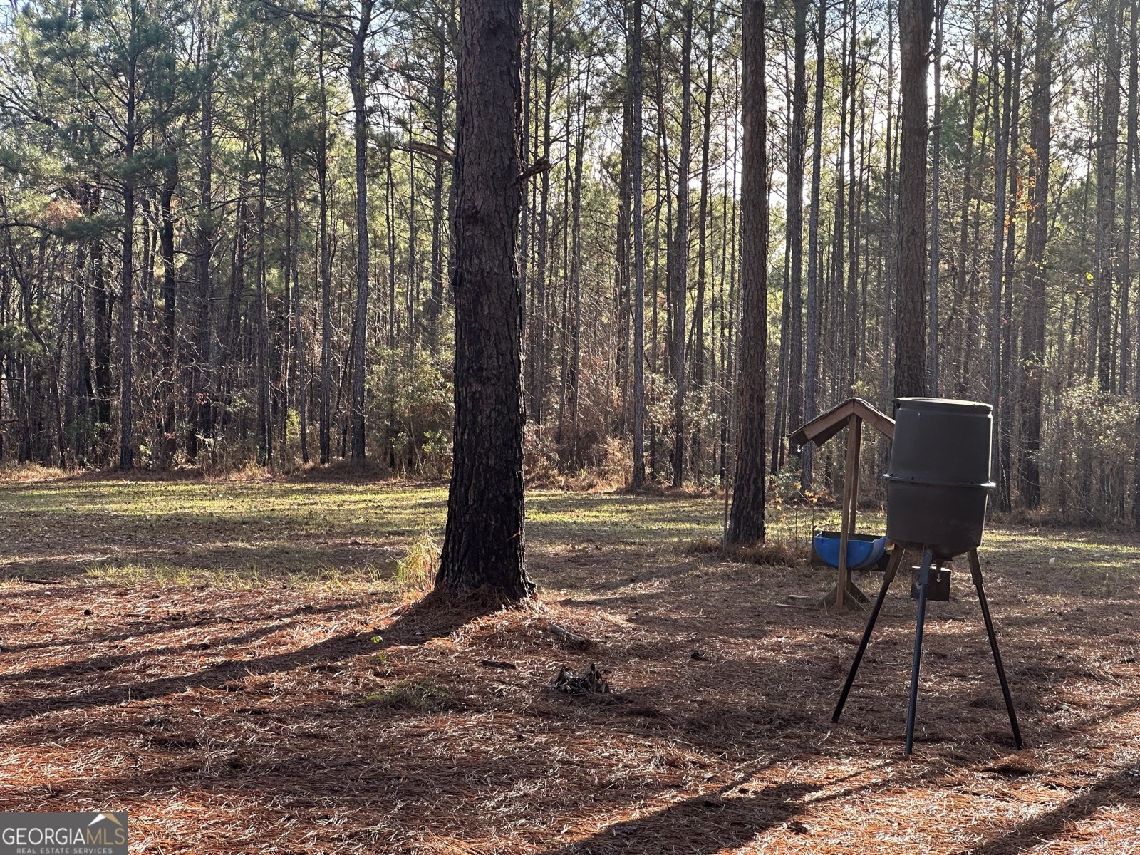 202 Taylor Road Talbotton - 23