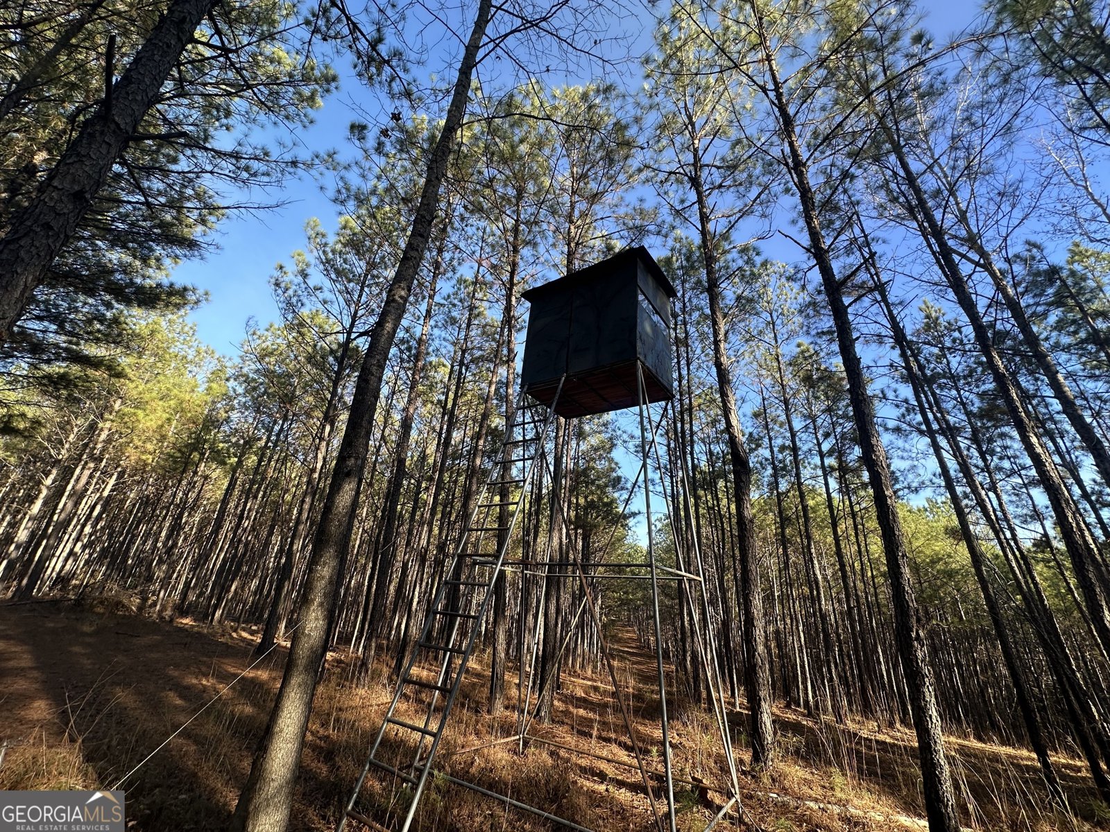 202 Taylor Road Talbotton - 24