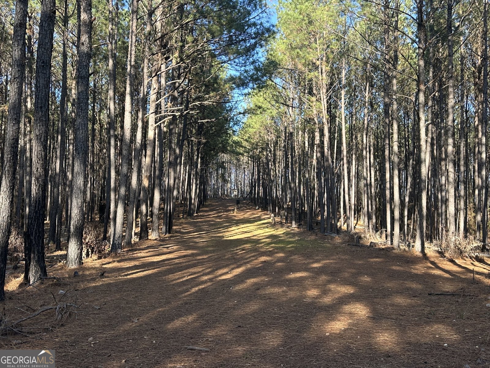 202 Taylor Road Talbotton - 25