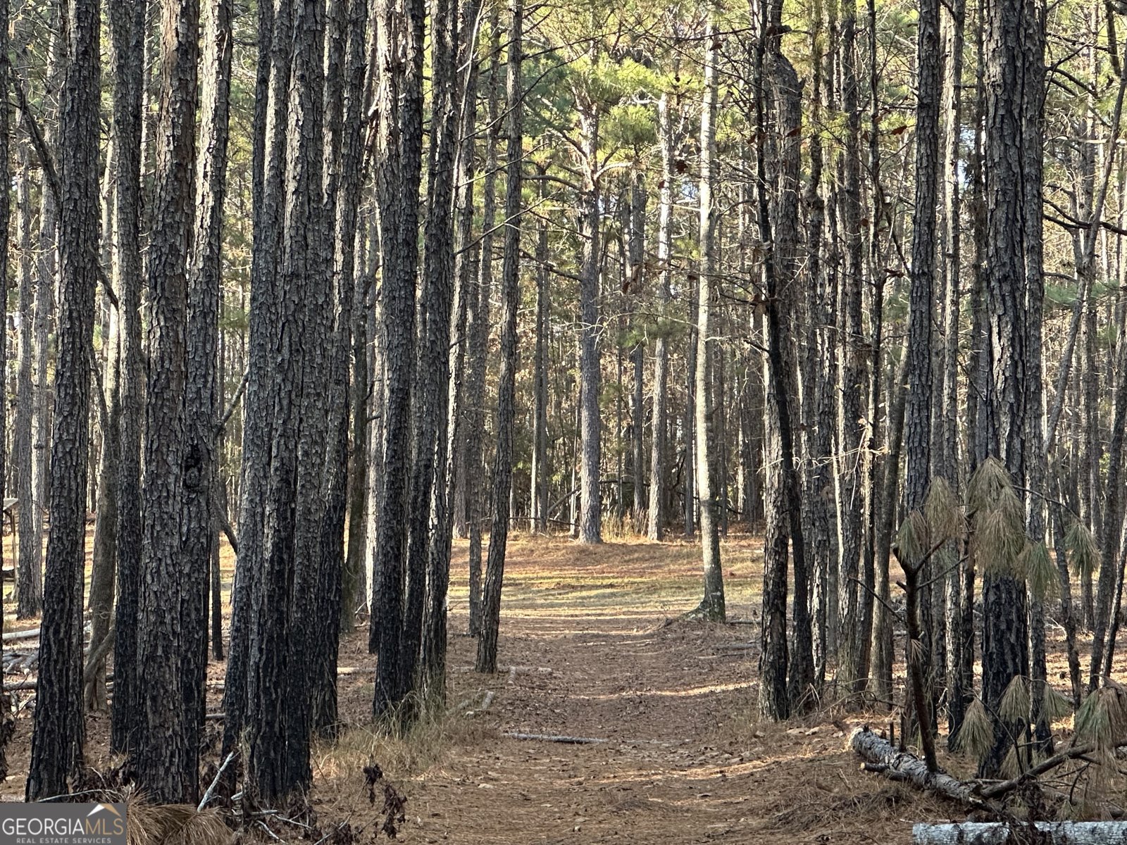 202 Taylor Road Talbotton - 26