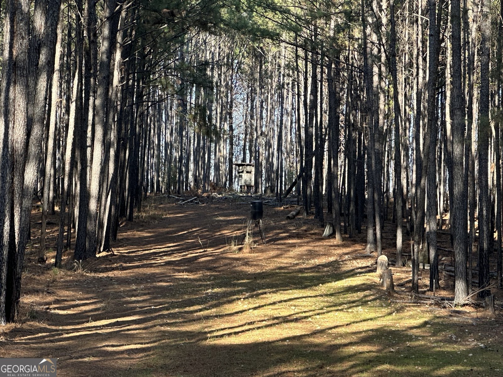 202 Taylor Road Talbotton - 27