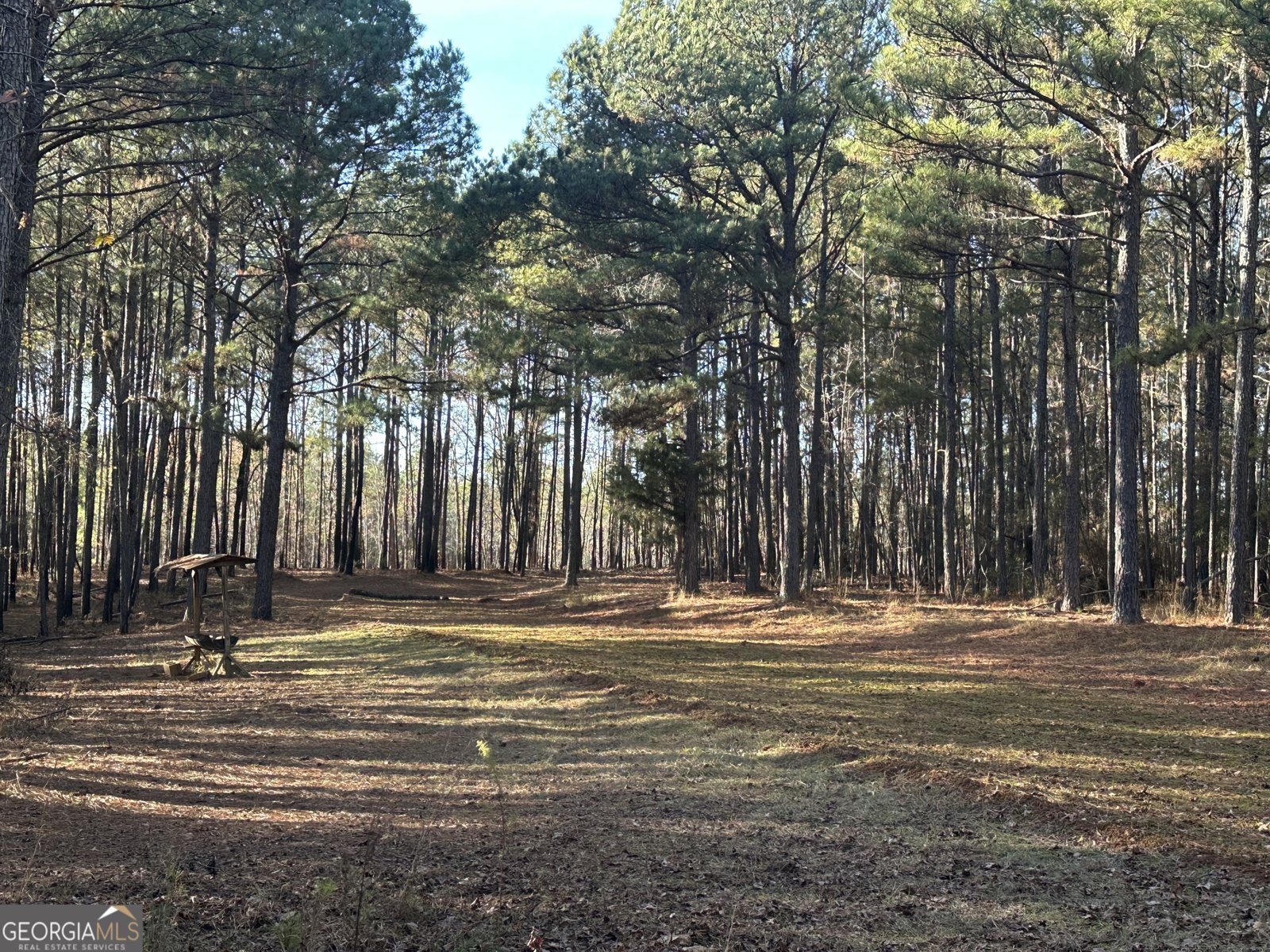 202 Taylor Road Talbotton - 29