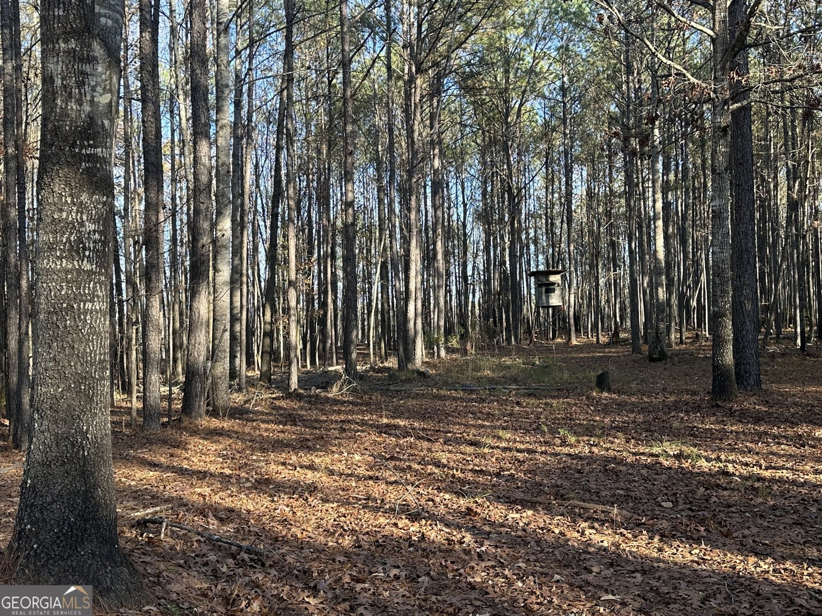 202 Taylor Road Talbotton - 30