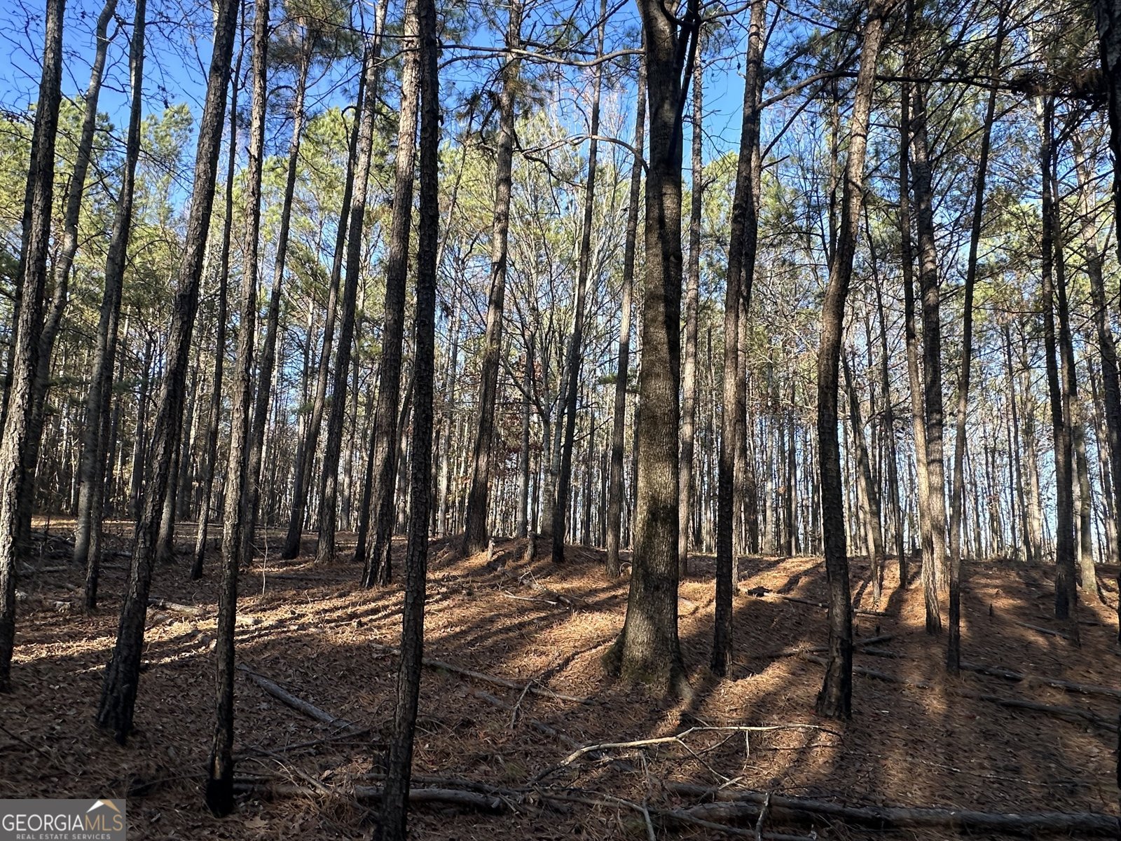 202 Taylor Road Talbotton - 31