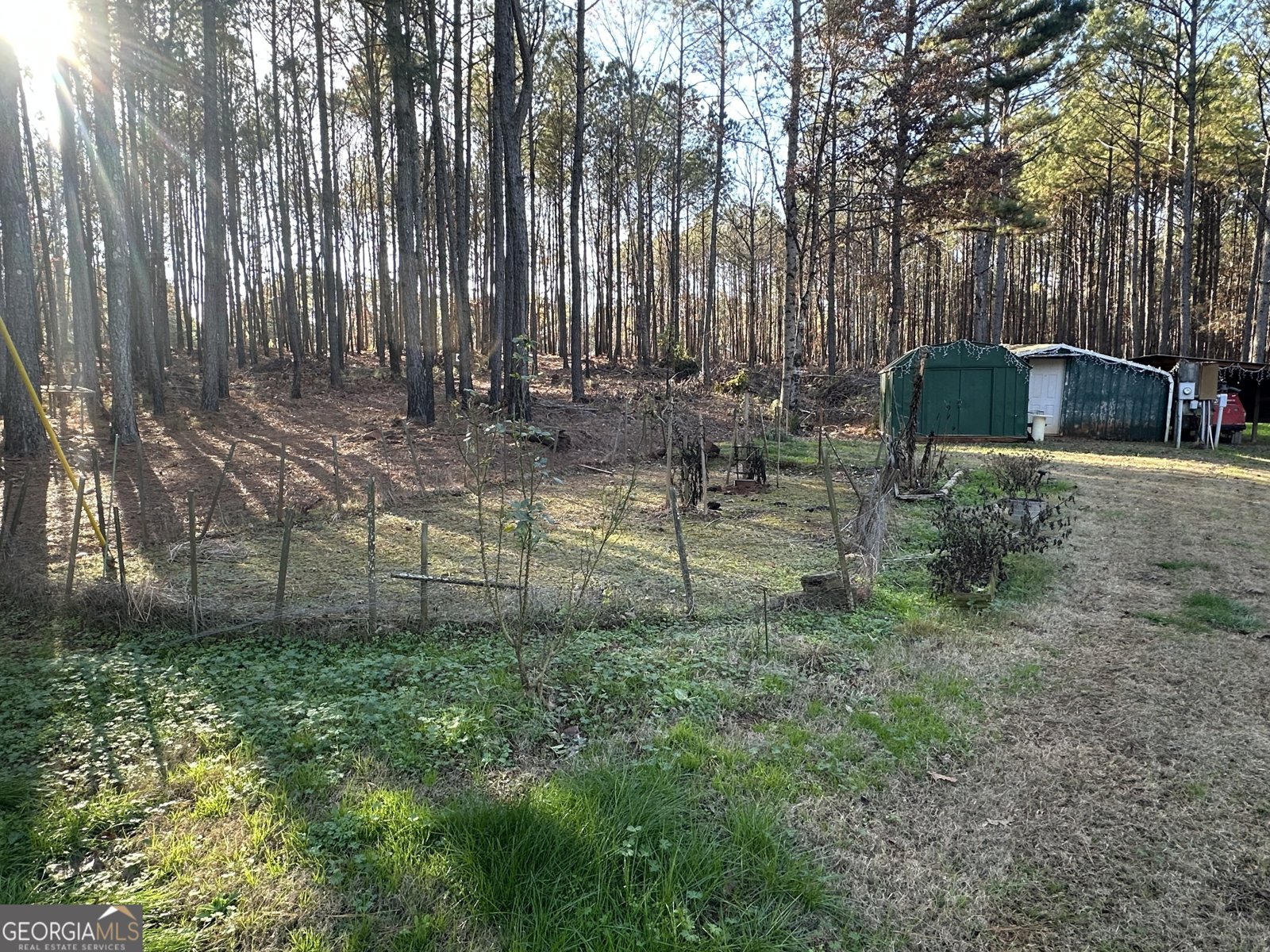 202 Taylor Road Talbotton - 4