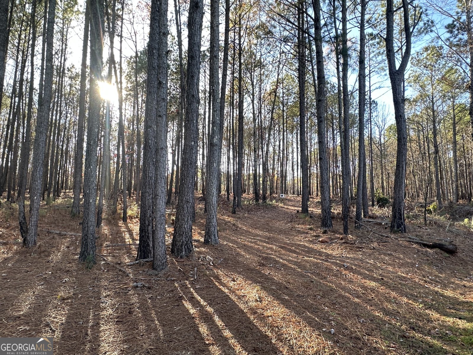 202 Taylor Road Talbotton - 5