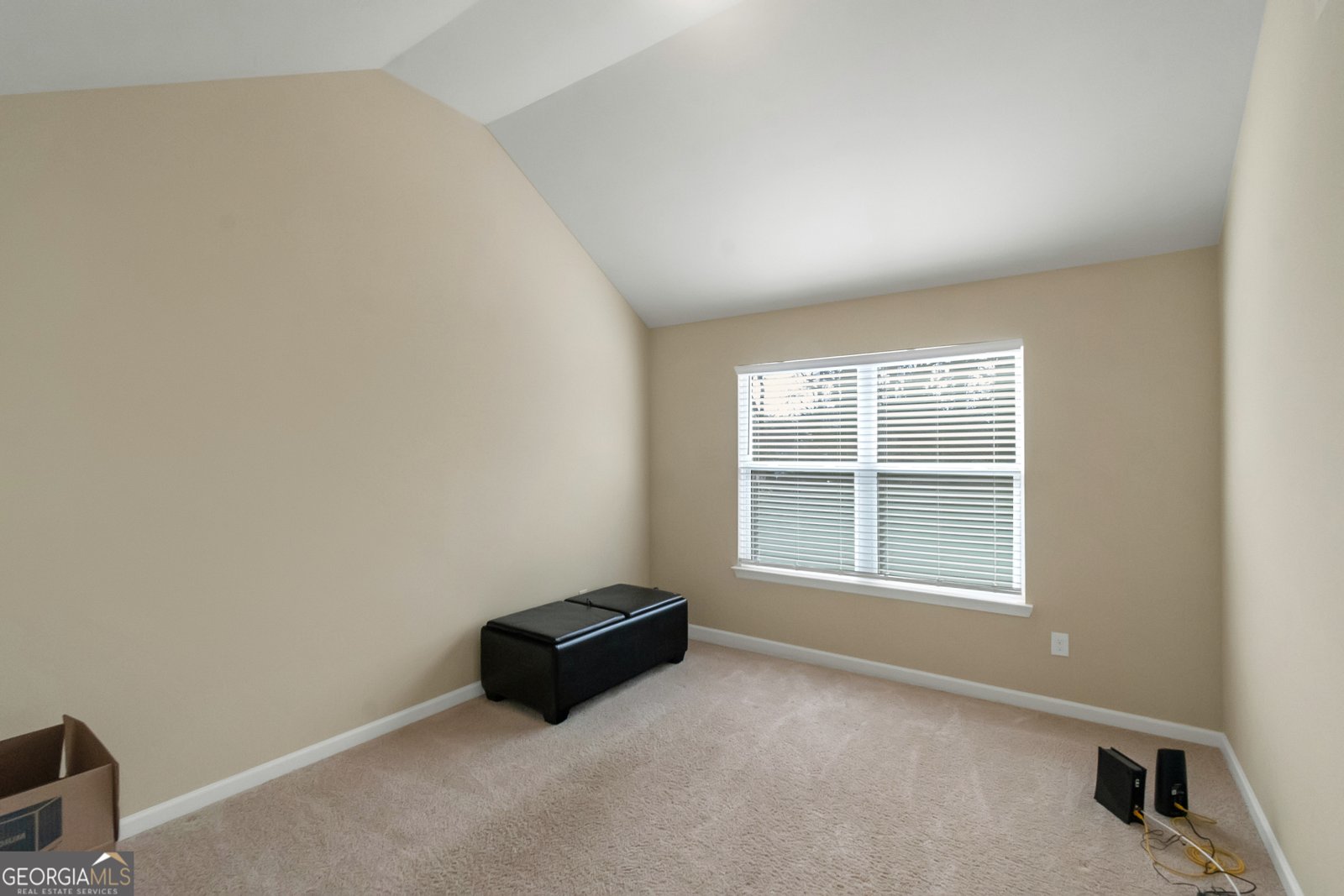 316 Sierra Court McDonough - 31