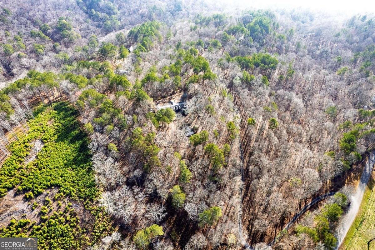 259 Holley Heights Jasper - 49