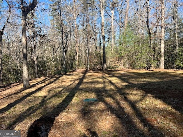 37 BEGONIA Courts CLAYTON - 28