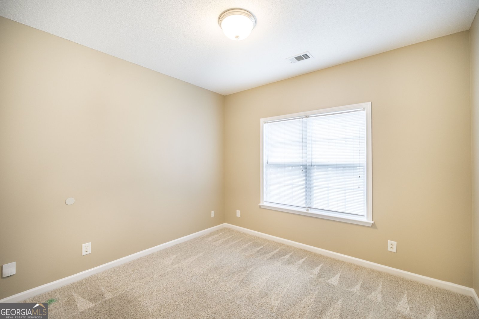 303 Gray Fox Crossing Bonaire - 19