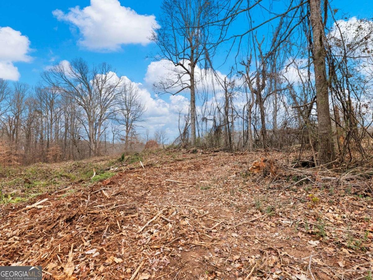 5222 Bogus Road Gainesville - 41