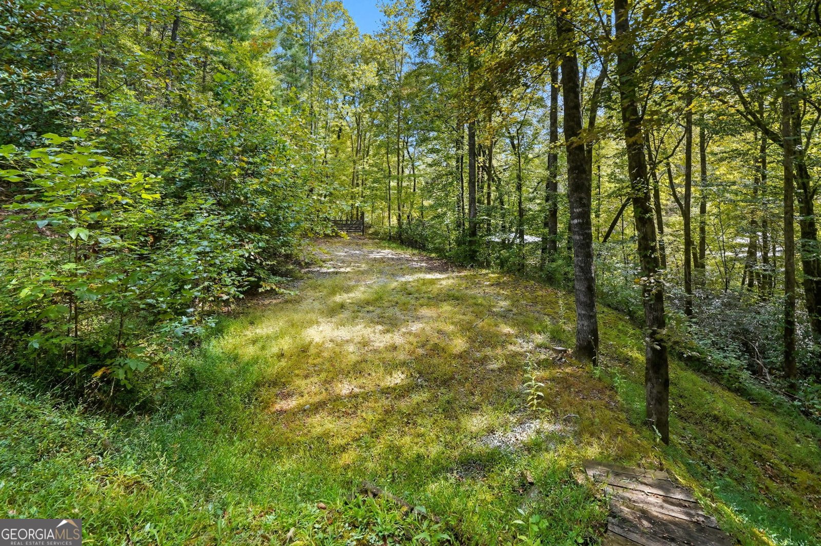 257 Foothills Drive Cleveland - 53