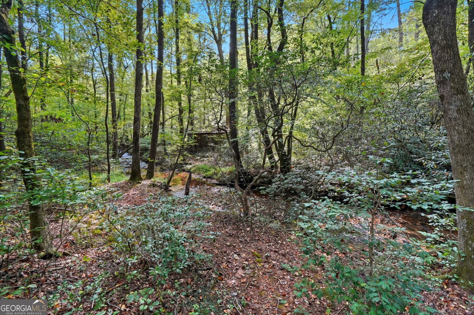 257 Foothills Drive Cleveland - 57