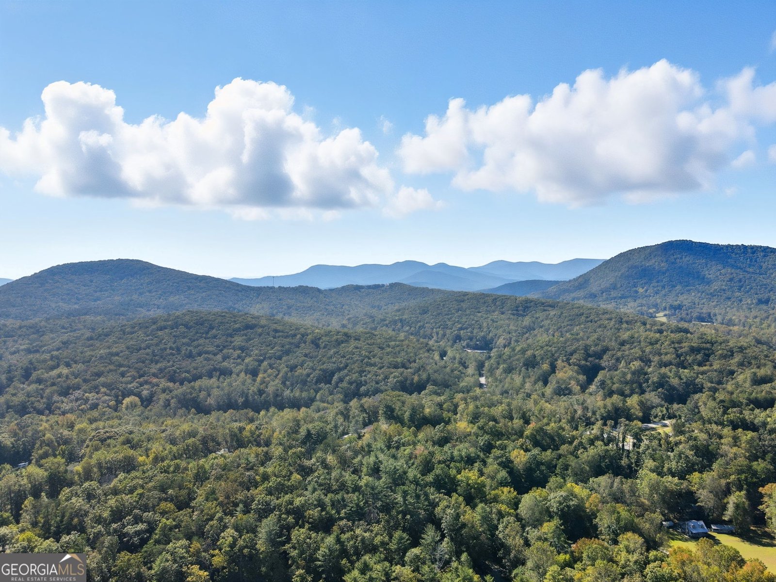 257 Foothills Drive Cleveland - 62