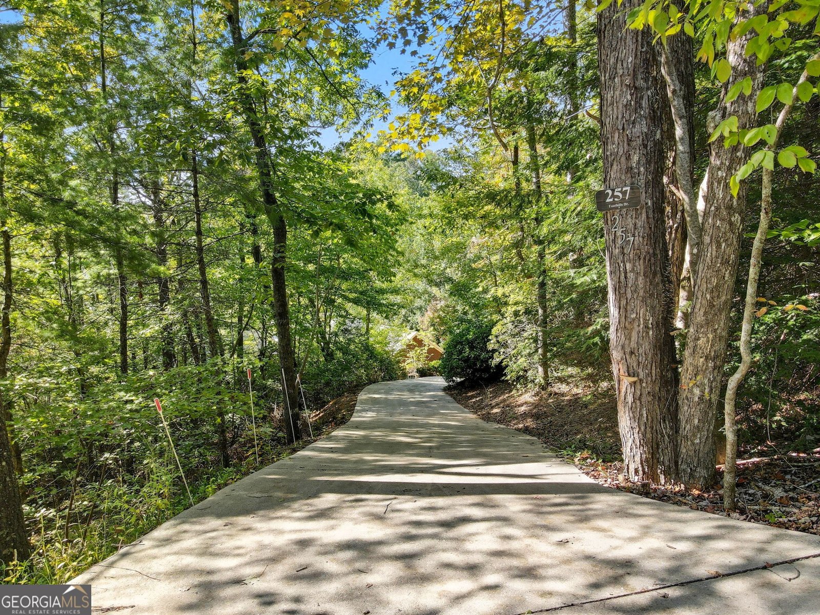 257 Foothills Drive Cleveland - 8