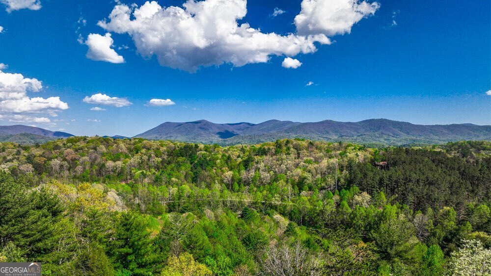 43 Dustin Drive Ellijay - 2