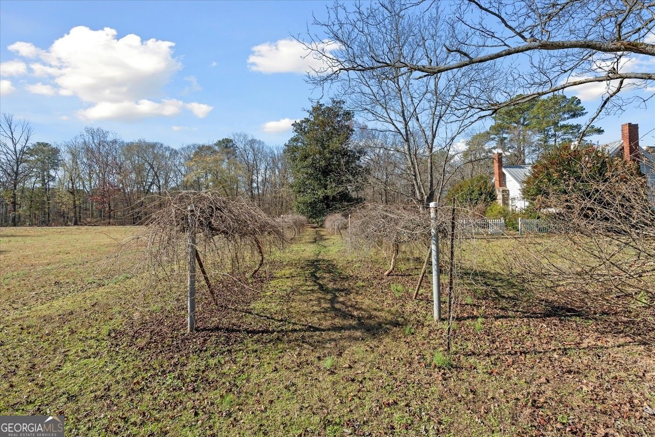 156 McLendon Circle Carrollton - 40